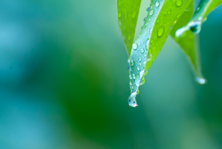 什么是露點(diǎn)?