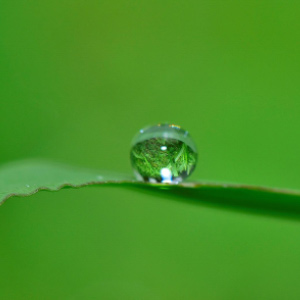 drop-2986817_1920(1)